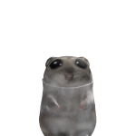 Thyleo2