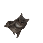 @ger1726