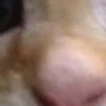 @FusedNub