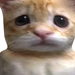 @antoine427