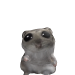 @gibizinho259