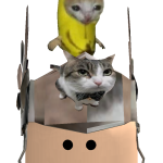 @gogy_p1g