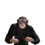@IBX2K