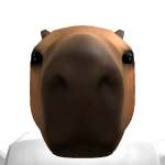 @raudpi4