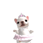 @PandBabouni