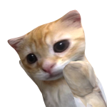 @corgipartyredpancake