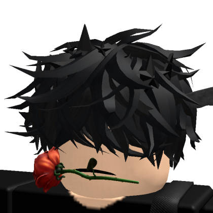 Roblox profile picture for @qwqy91