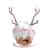 Enchanted_rocketX