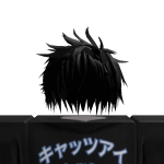 @ii_Shoji