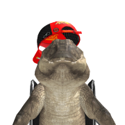 RIP_CHAVESIN