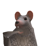 @1LYKYR4X0X