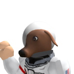@solocapybara15