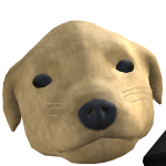 @ryiima_blox