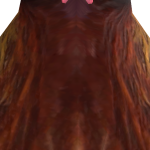 @TheImmortaIKing