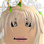 @ItzFerretzPlxyz