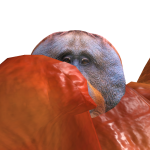 @TheDuckyGasper