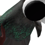 @Paxrts