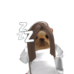 @feirce_kittencat25