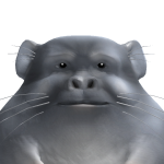 @doritosforitosgames