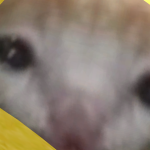 @CrazyyMilk