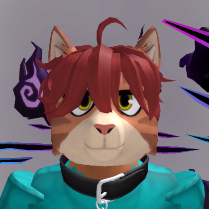 Roblox profile picture for @wrong
