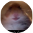 LateNightHyp3