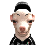 @DestXKing