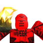 @VSG_Veer