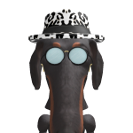 @Dragonisthecoolest