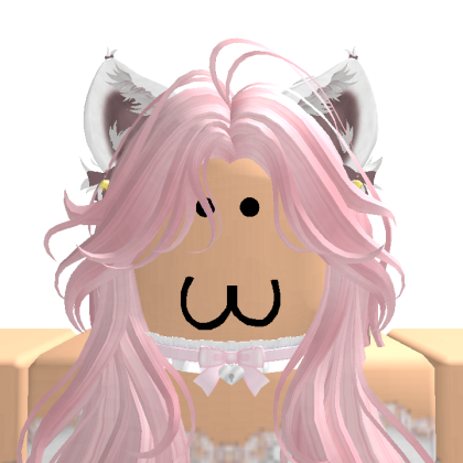 CattIsSilly