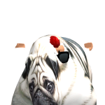 @Dylan10765