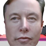 Elon Musk's avatar