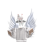 @shadow_log11