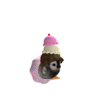 @HOLFO101