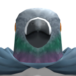 @Wither26401XL