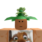 @wille209