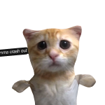@magicstorm360