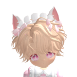 @rinsaiki
