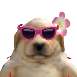 @davidddddddddder