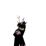 visual