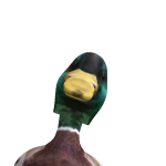 @boujeemoose