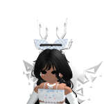 @aquafirebird24
