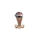 @SuperSonicHorse12