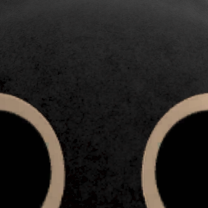 Roblox profile picture for @notherboy
