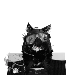 @v4mpyjester