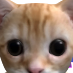 @SpaceStash1