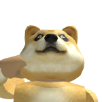 Doge