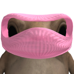 @carguyjon1