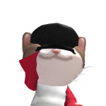 @0o0Rokie0o0