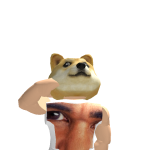 @hotdog2709